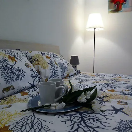 Apartamento Down Town Cesar